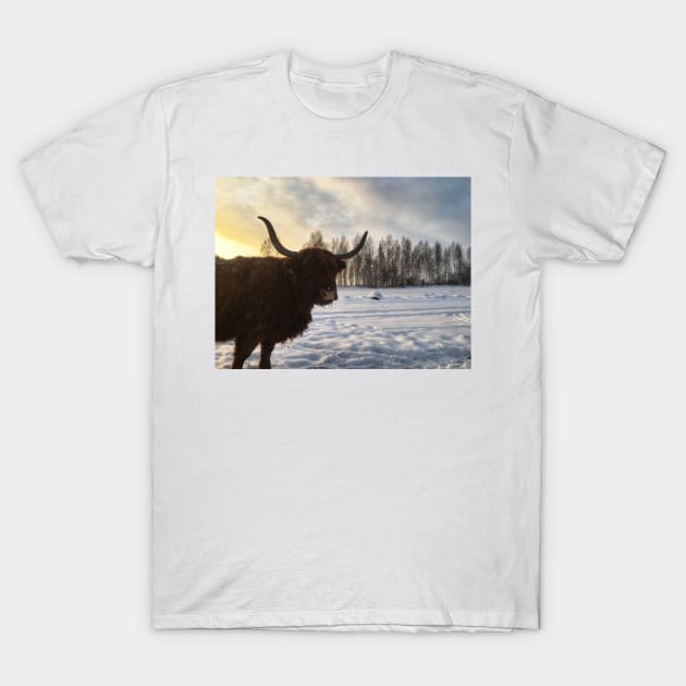 Scottish Highland Cattle Cow 2215 T-Shirt by SaarelaHighland